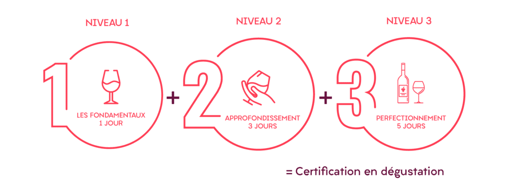 les différents niveaux de certification : fondamentaux, approfondissement et perfectionnement